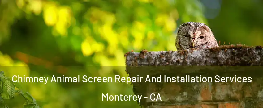  Chimney Animal Screen Repair And Installation Services Monterey - CA