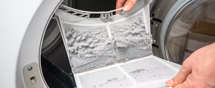 Best Dryer Lint Removal Company in Monterey, California