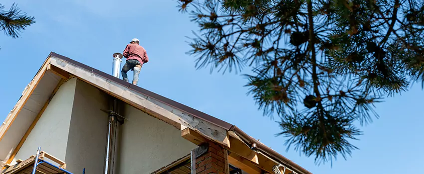 Birds Removal Contractors from Chimney in Monterey, CA