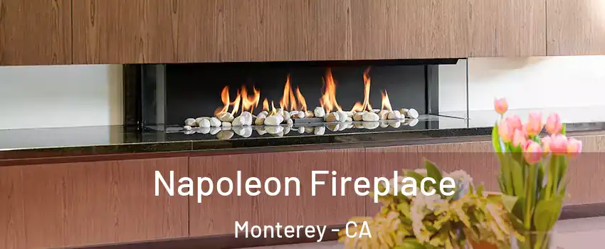  Napoleon Fireplace Monterey - CA